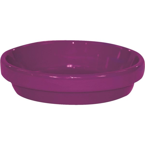 Ceramo Spring Fever 8 In. Violet Clay Flower Pot Saucer - Iieemm