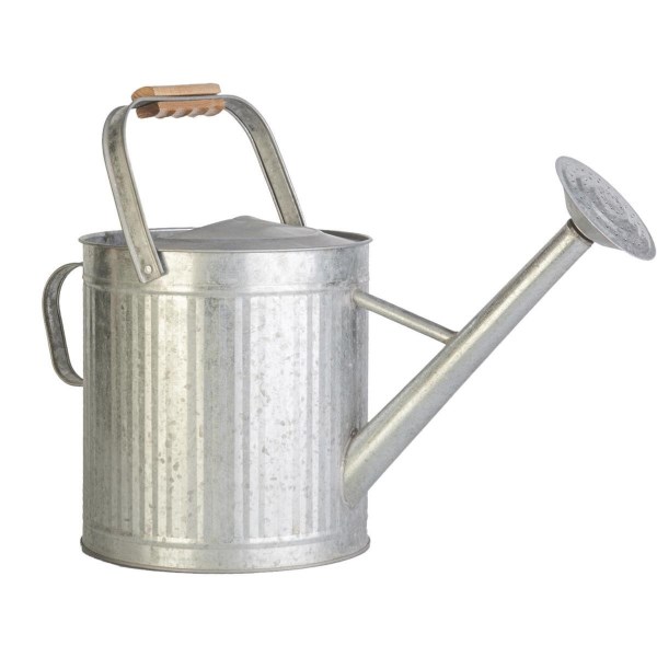 Panacea 2 Gal. Galvanized Steel Watering Can - Iieemm