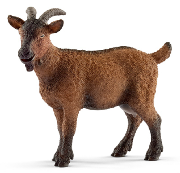BRN Goat - Iieemm
