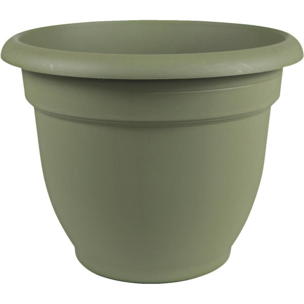 Bloem Ariana 12 In. Plastic Self Watering Thyme Green Planter - Iieemm
