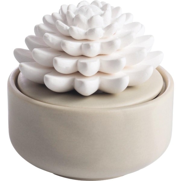 Candle Warmers Airome Porcelain Essential Oil Diffuser – Succulent - Iieemm
