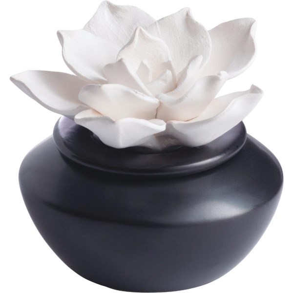 Candle Warmers Airome Porcelain Essential Oil Diffuser – Gardenia - Iieemm