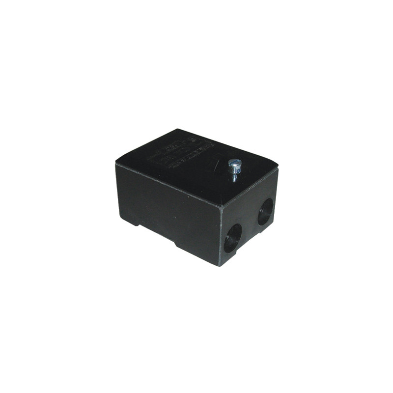 Service Connector Block 100A Double Pole