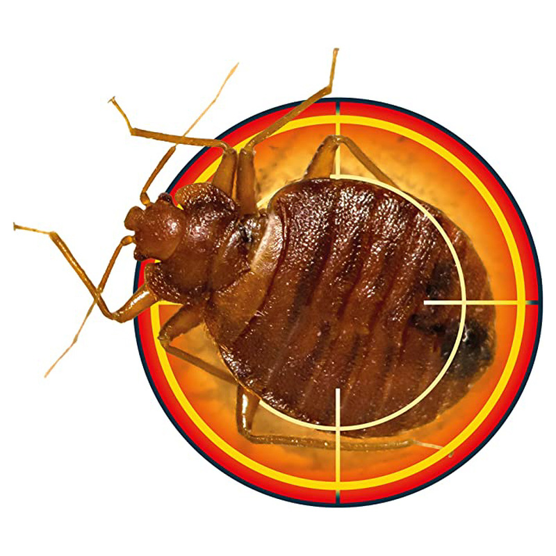 Nope! Bedbug Killer Spray 5L