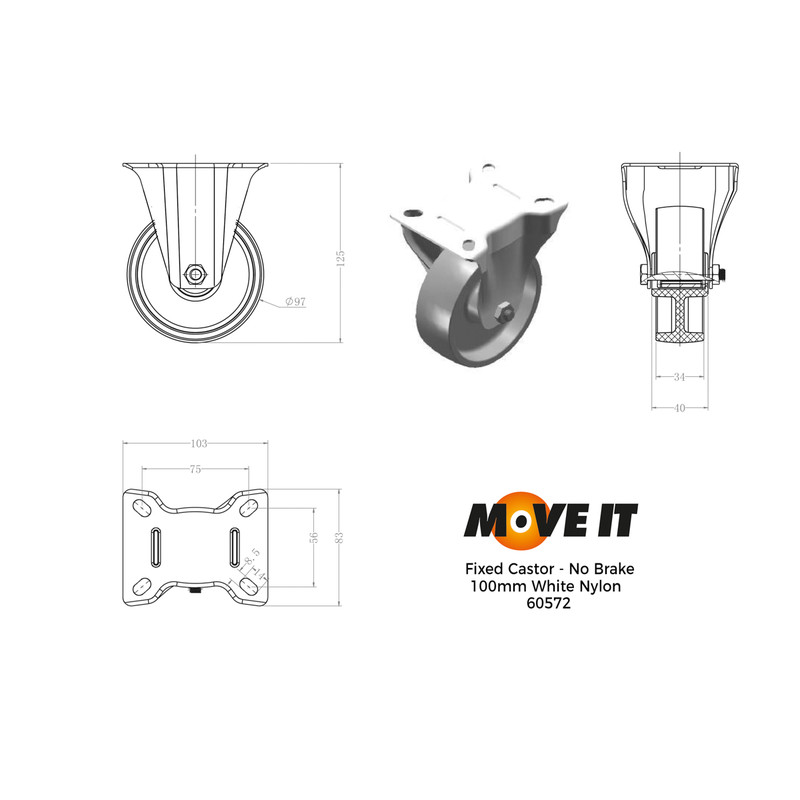 Fixed Castor 100mm 125kg