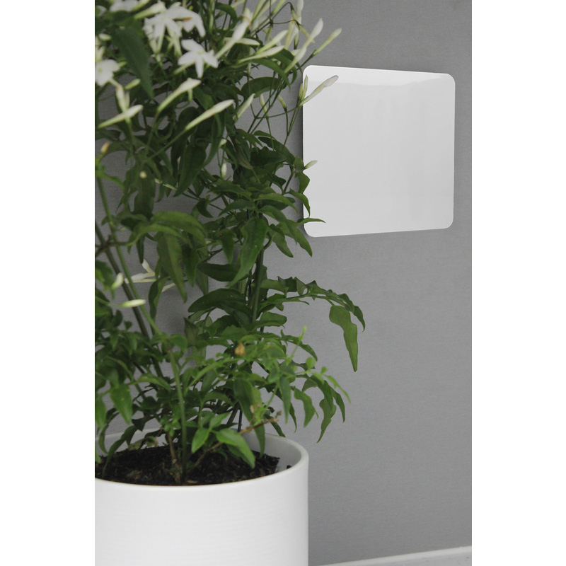 Trendiswitch White 1 Gang Blanking Plate 1 Gang