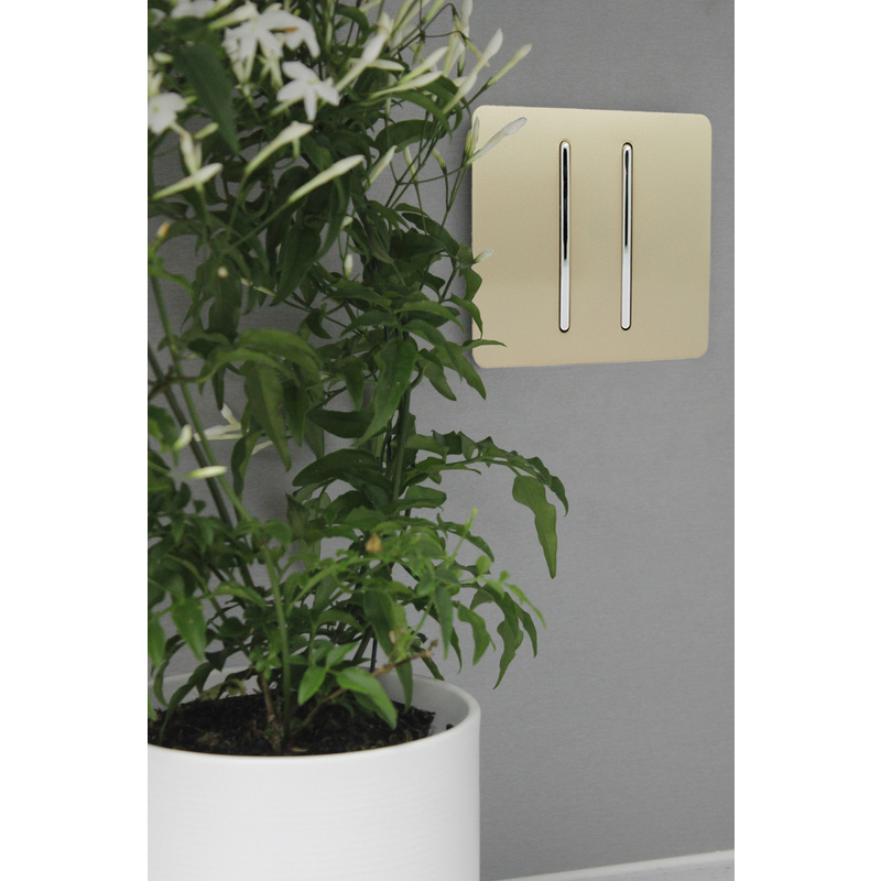 Trendiswitch Gold 2 Gang 2 Way 10 Amp Switch 2 Gang 2 Way