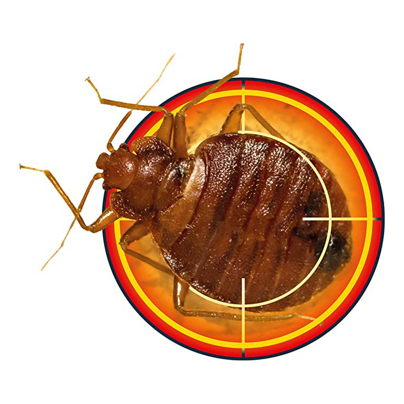 Nope! Bedbug Killer Spray 500ml