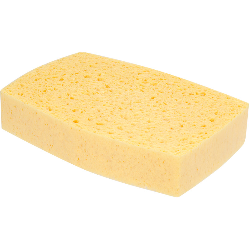 Spontex Decorators Sponge