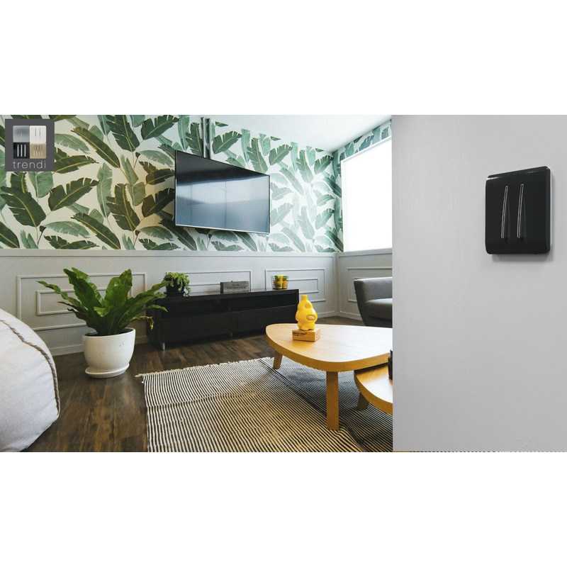 Trendiswitch Charcoal 2 Gang 2 Way 10 Amp Switch 2 Gang 2 Way