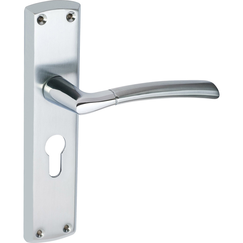 Felisa Dual Finish Door Handles Euro Lock Polished / Satin