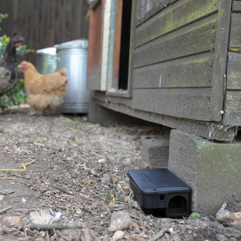 The Big Cheese Mouse & Rat Killer2 Pasta Sachets 10g