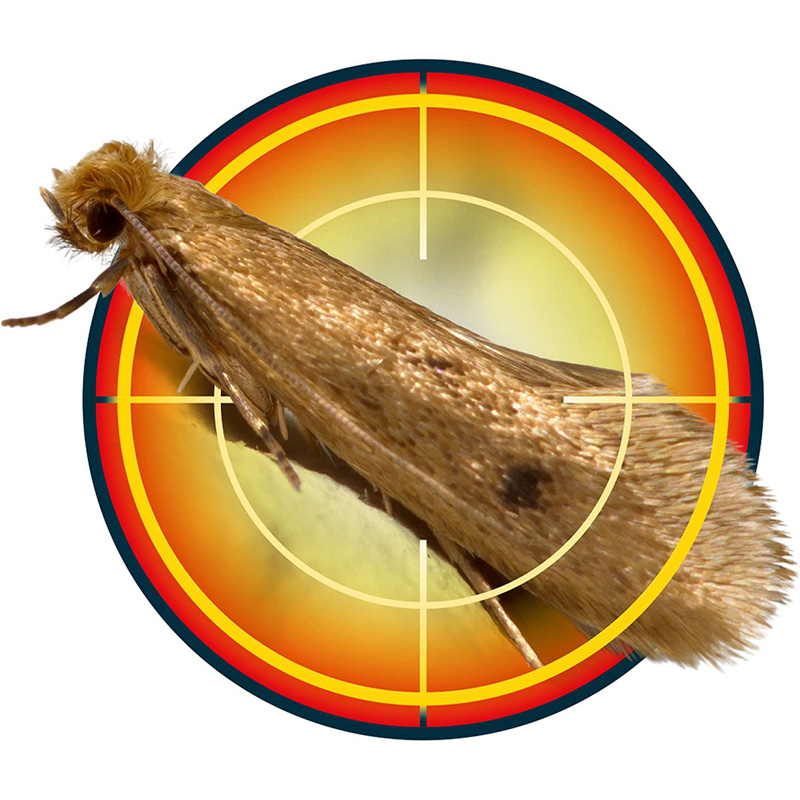 Nope! Moth Killer Spray 500ml