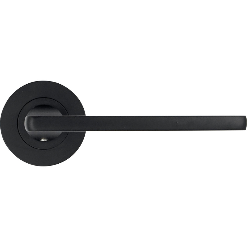 Stanza Leon on Rose Door Handles Matt Black
