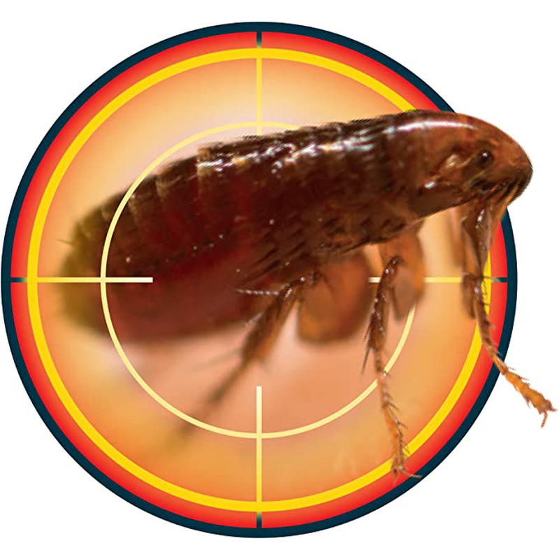 Nope! Flea Killer Spray 5L