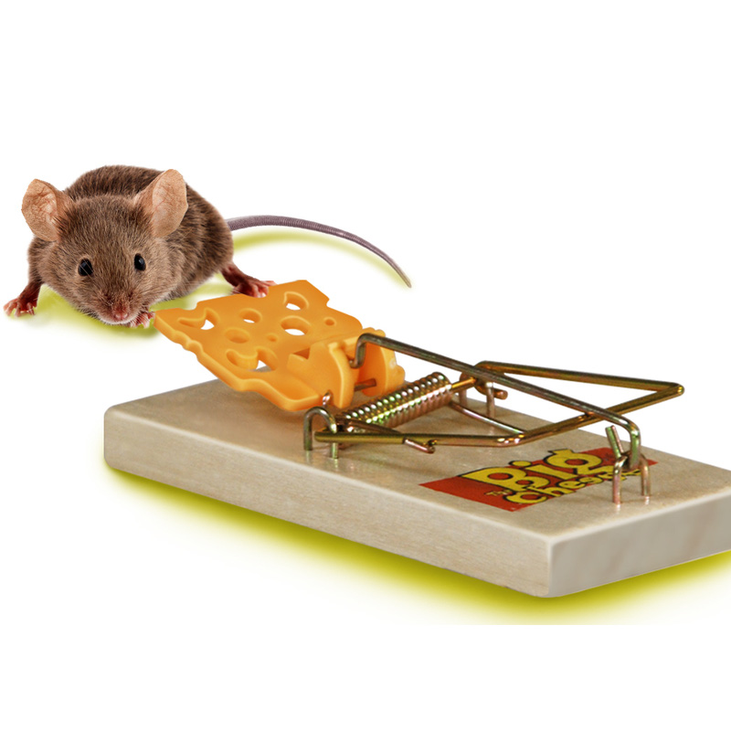 The Big Cheese Wooden Trap FSC Mouse