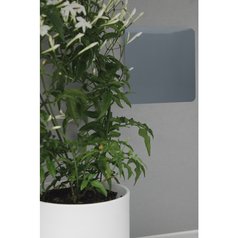 Trendiswitch Warm Grey 1 Gang Blanking Plate 1 Gang