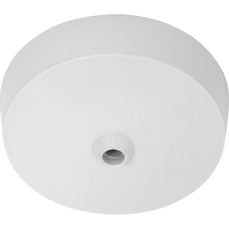 Axiom Ceiling Rose Terminal & Earth 5A