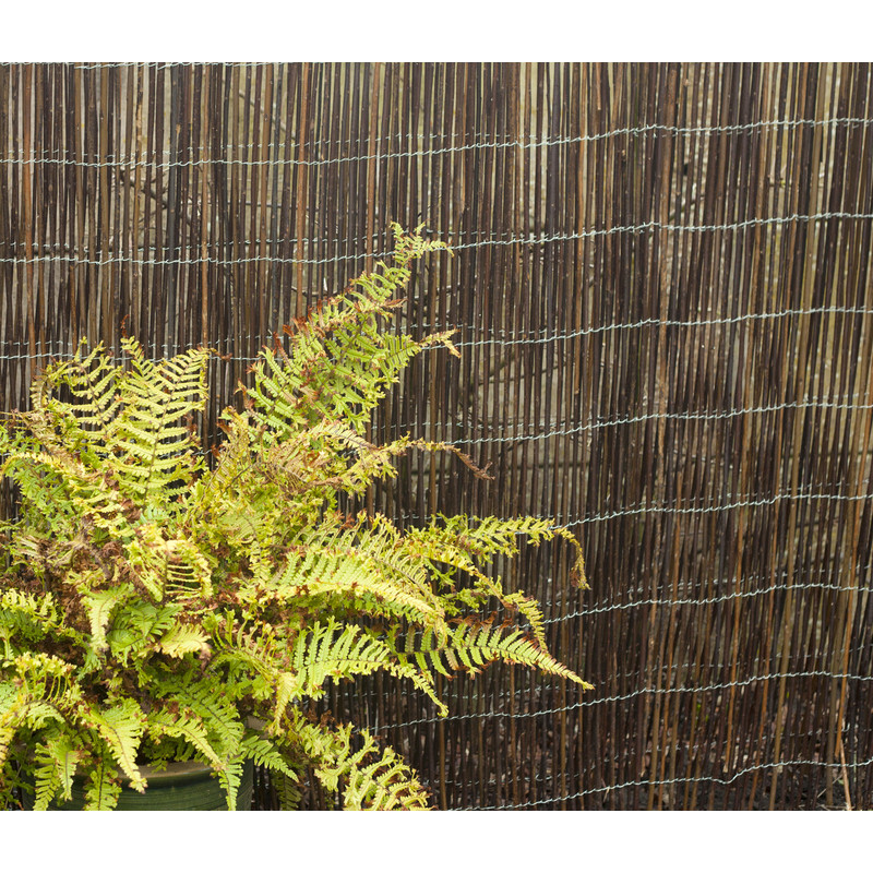 Willow Screening 4 x 1m