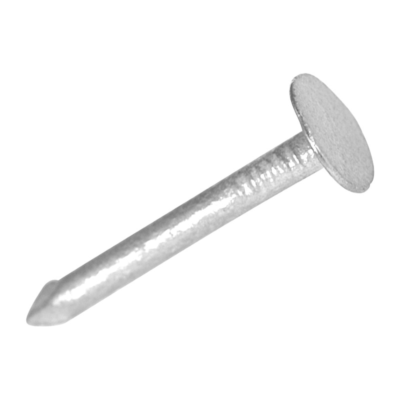 Extra Large Head Clout Nail Pack 30mm
