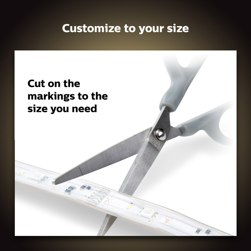 Philips Hue WACA Light Strip Plus 1m Extension