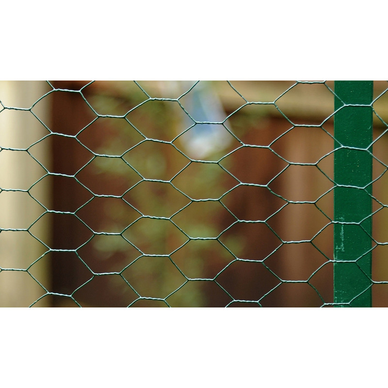 PVC Wire Netting 500mm x 10m - 25mm