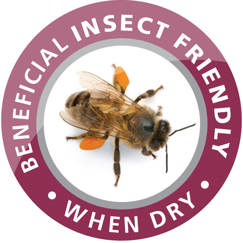 Barrettine Wood Protective Treatment 5L Dark Brown