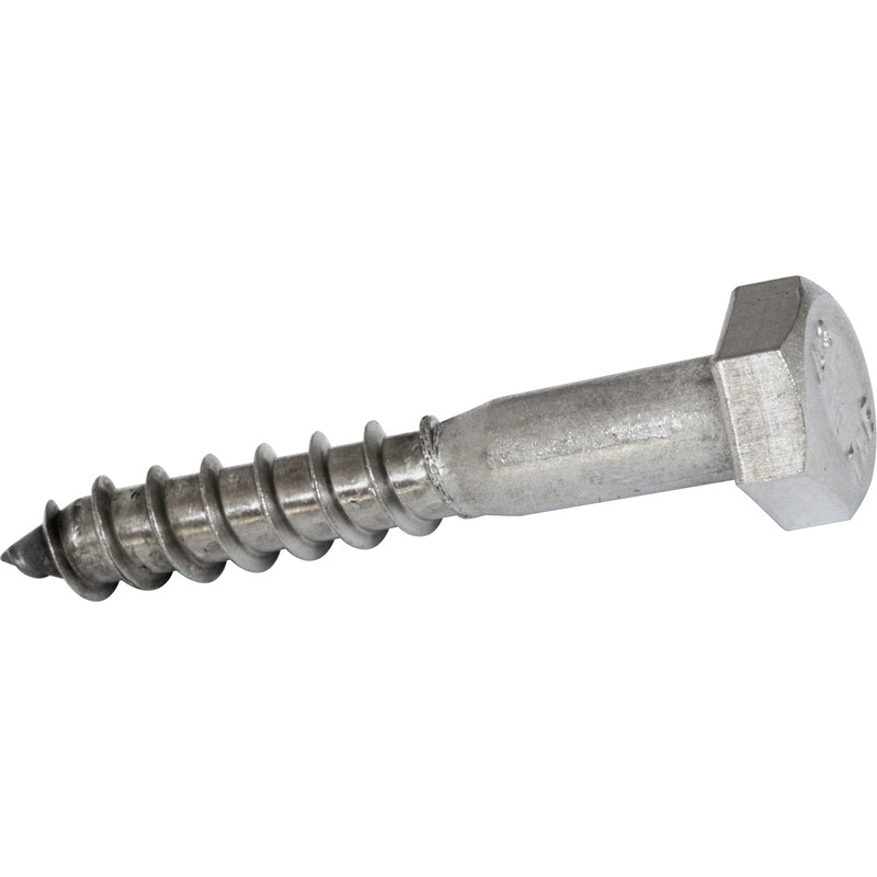 Stainless Steel Coach Screw M8 x 100