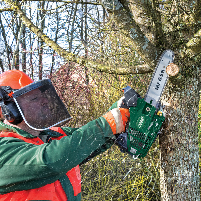 Draper 25cm Petrol Chainsaw with Oregon® Chain and Bar 25.4cc