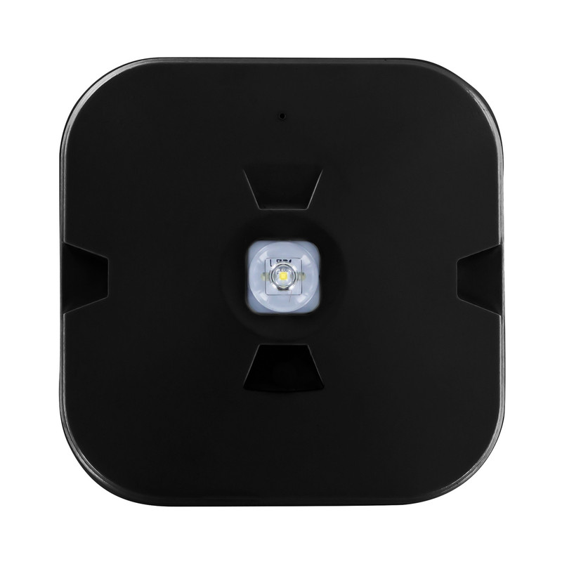 Integral LED IP44 Emergency Surface Mount Downlight Black Open Area 3W 245lm