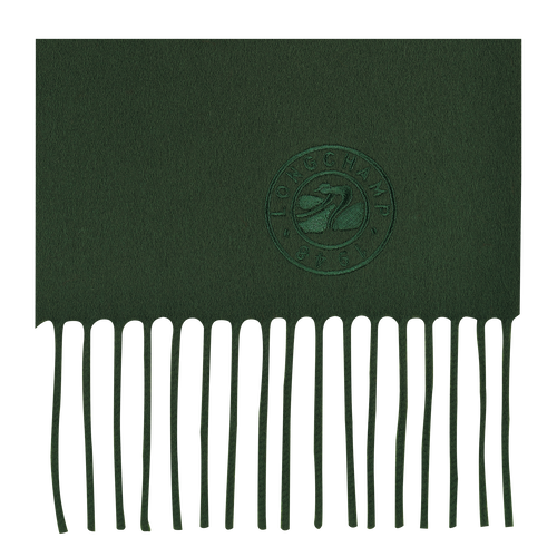 Green Women's Longchamp Fall-Winter 2022 Collection Other Stoles | 1256730-KS