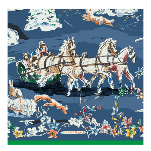 Blue Women's Longchamp Fall-Winter 2022 Collection Silk Silk Scarves | 2569713-RK