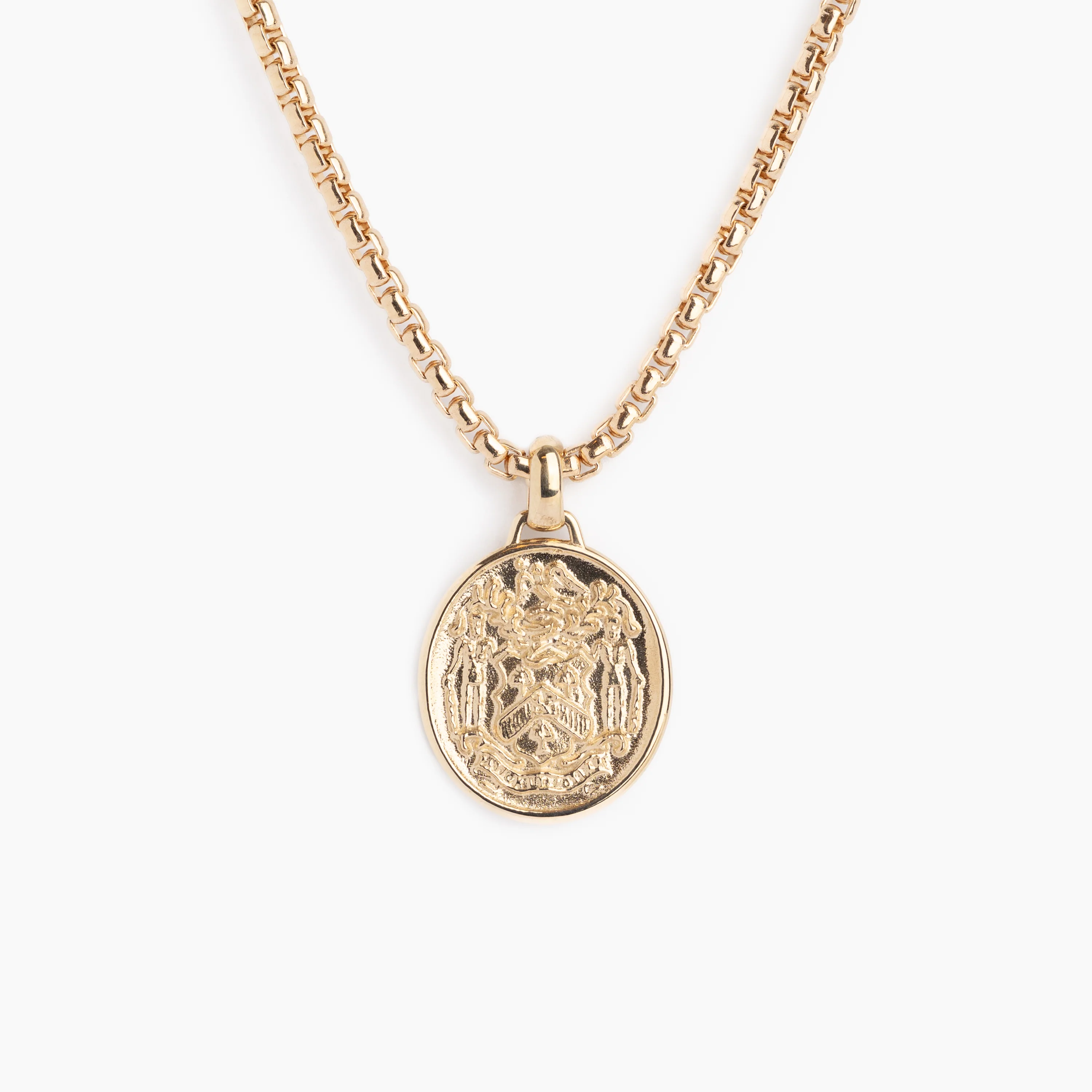 The Perseverance Medallion - WSBYTLP