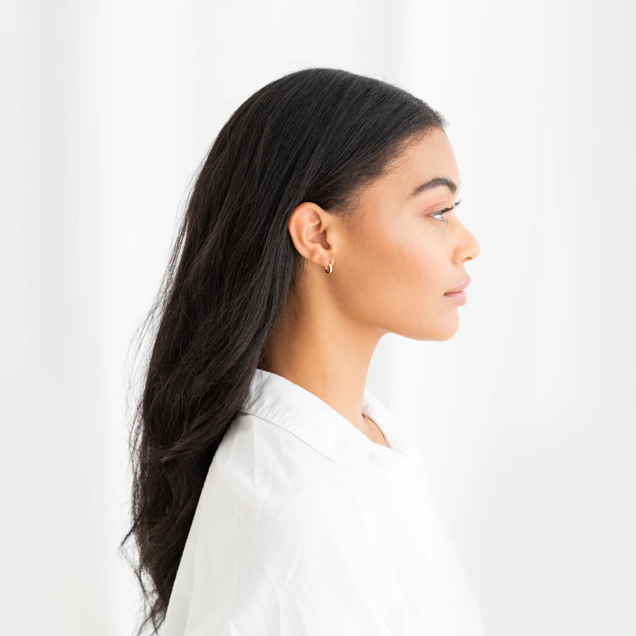 The Mini Gold Hoops - WSBYTLP