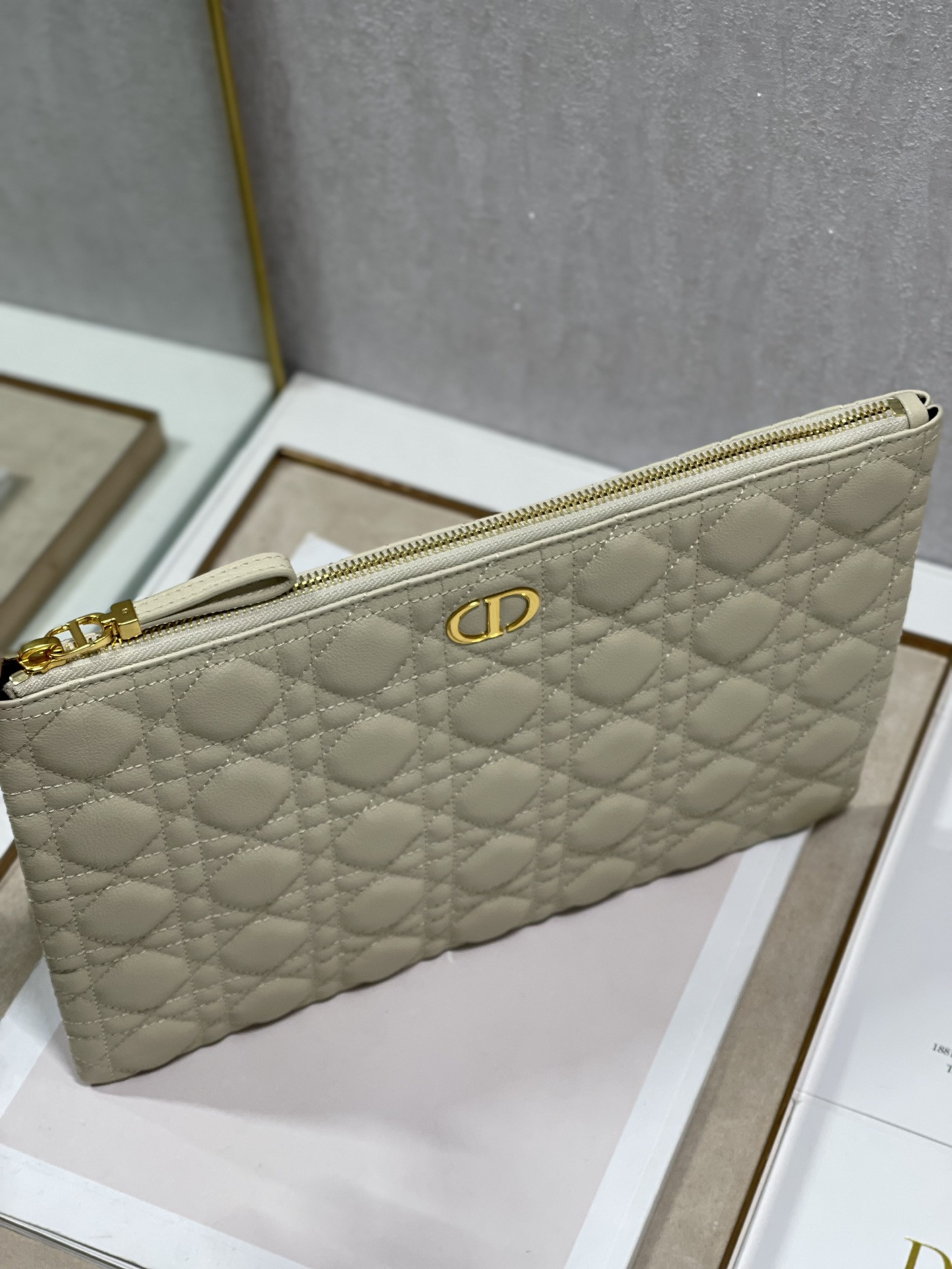 Large Dior Caro Daily Pouch