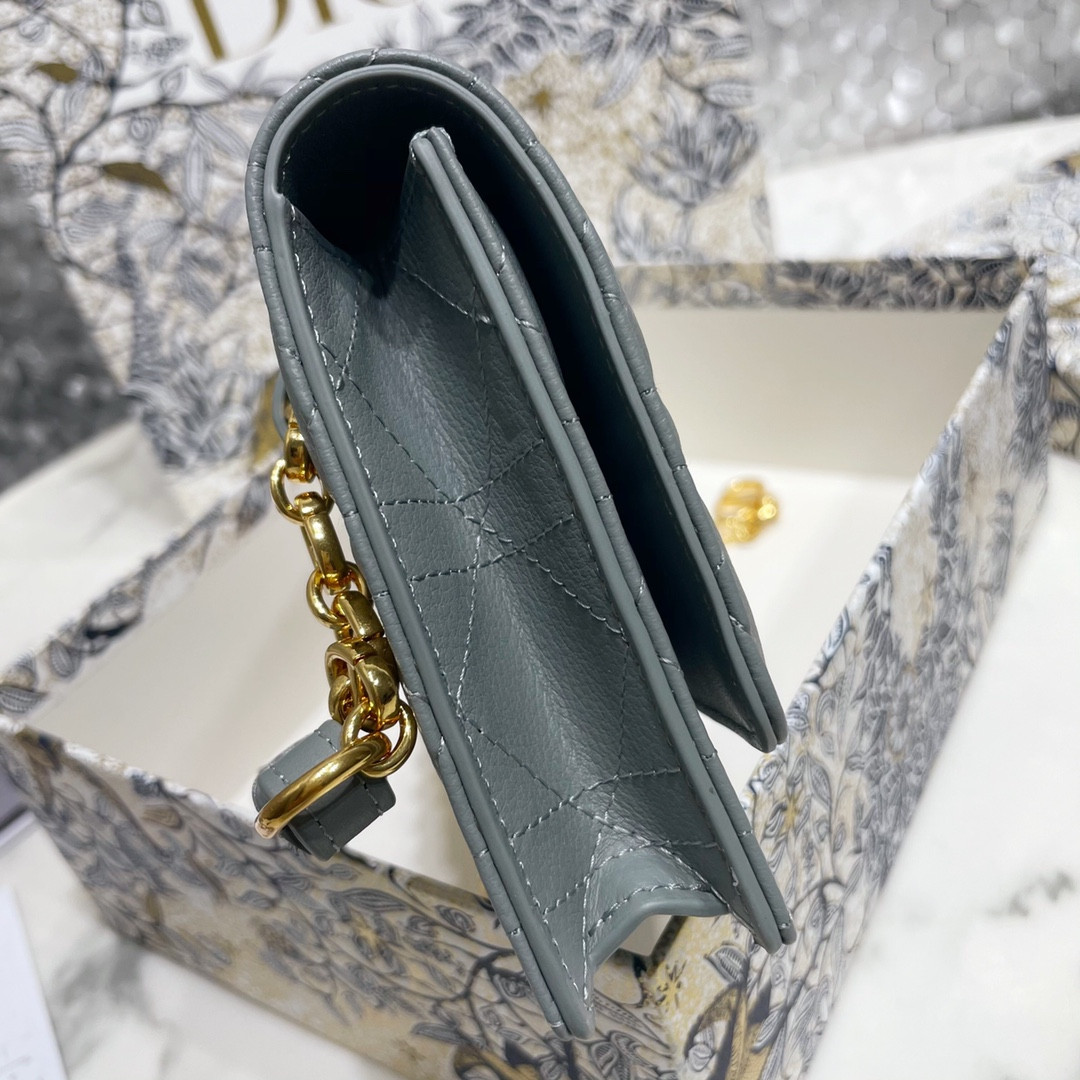Dior Caro Pouch