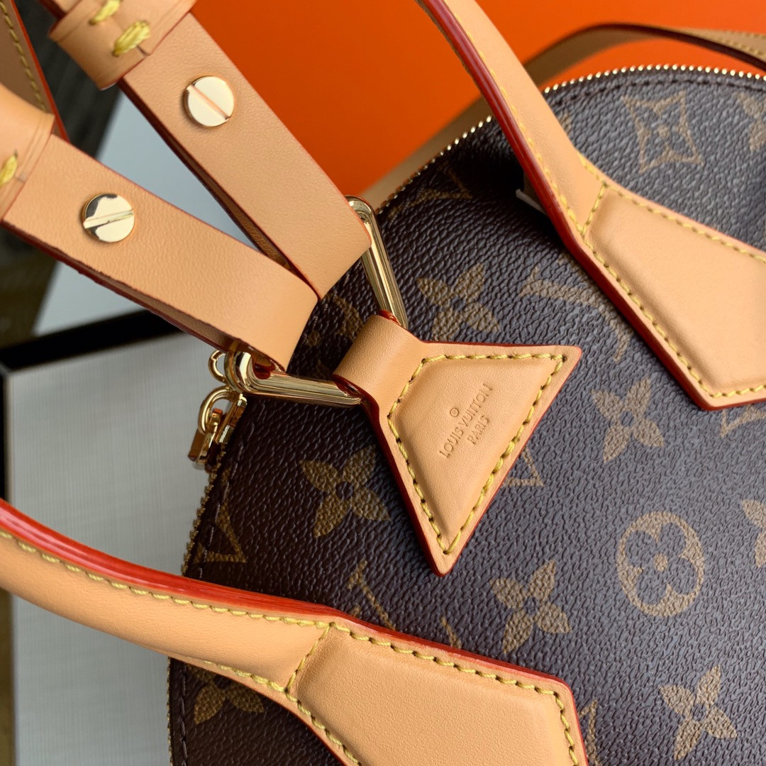 Louis Vuitton Moon Bag