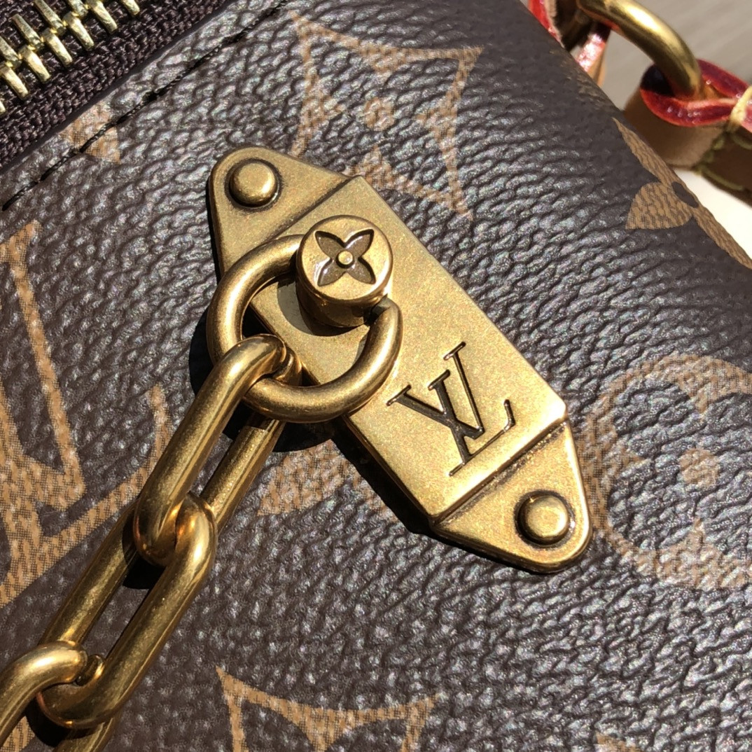 Louis Vuitton Phone Box Bag