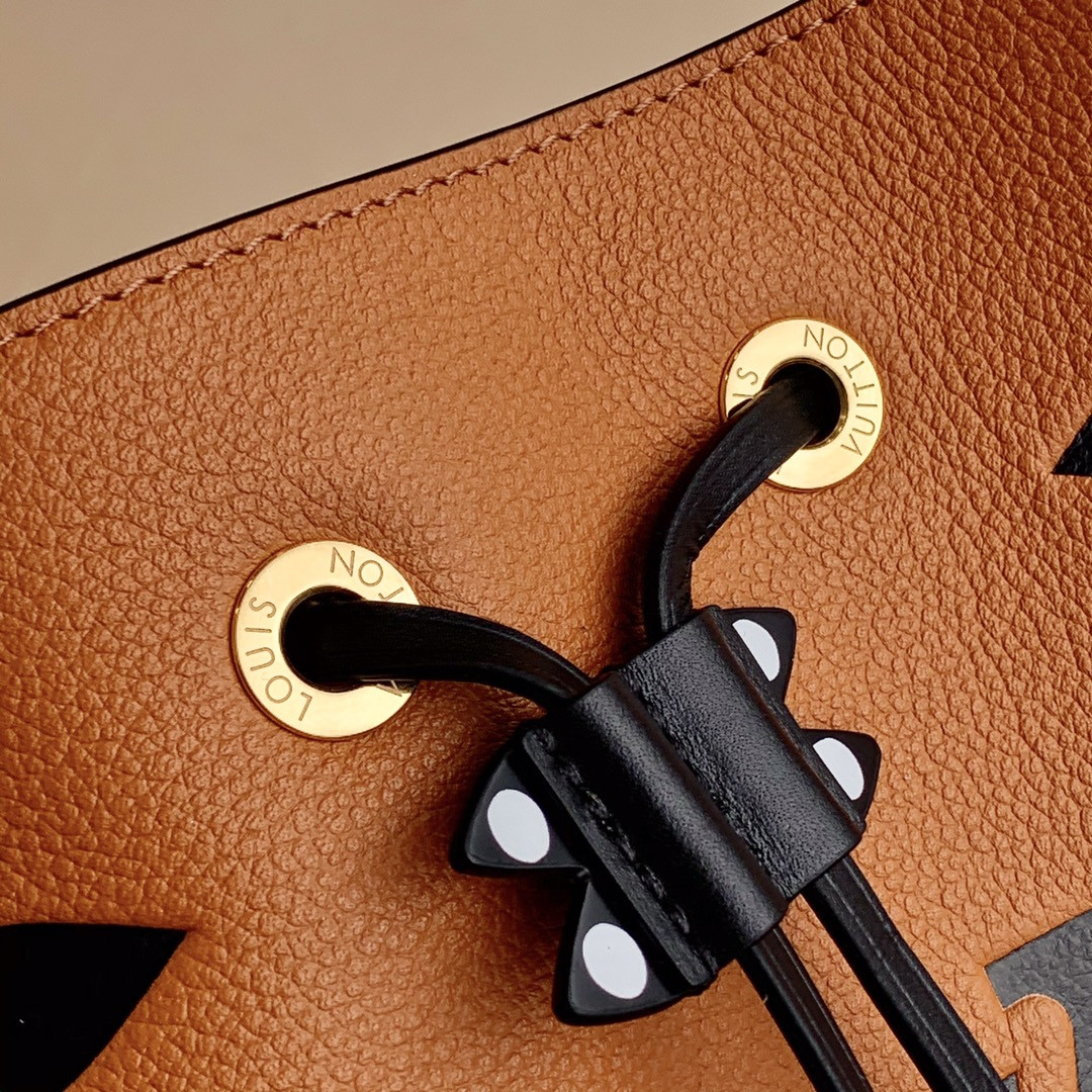 Louis Vuitton Néonoé Bag