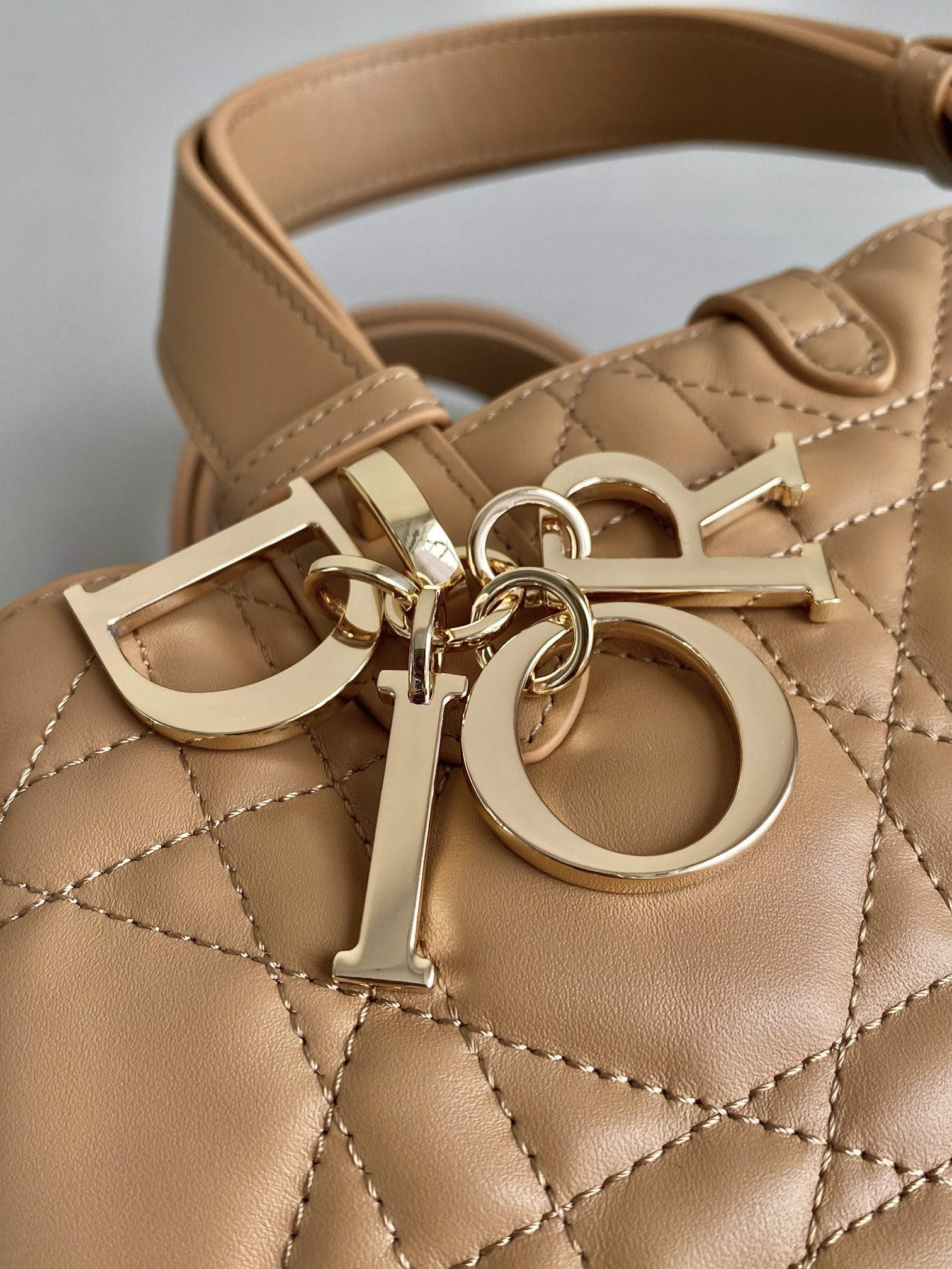 Dior Toujours Bag