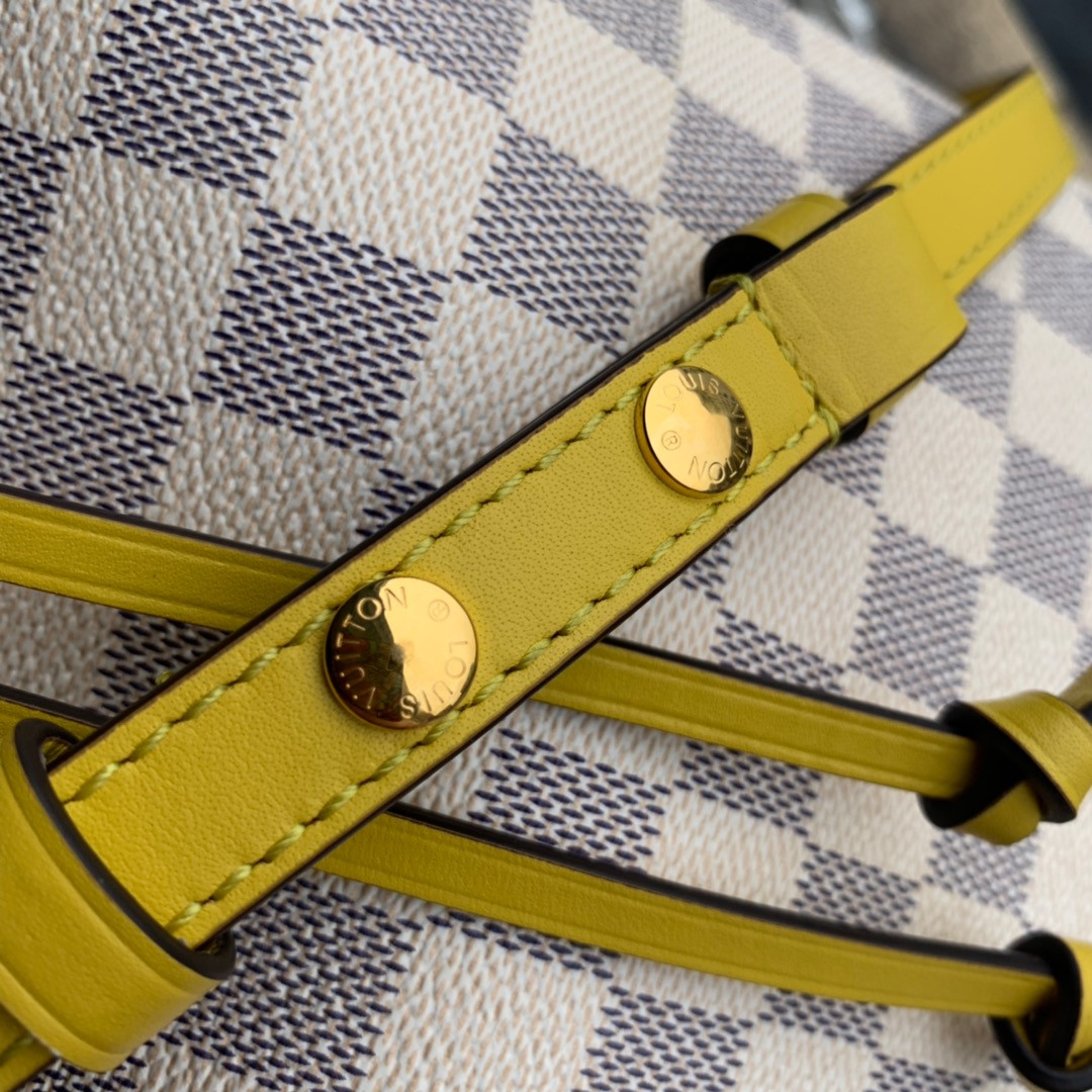Louis Vuitton Néonoé Bag