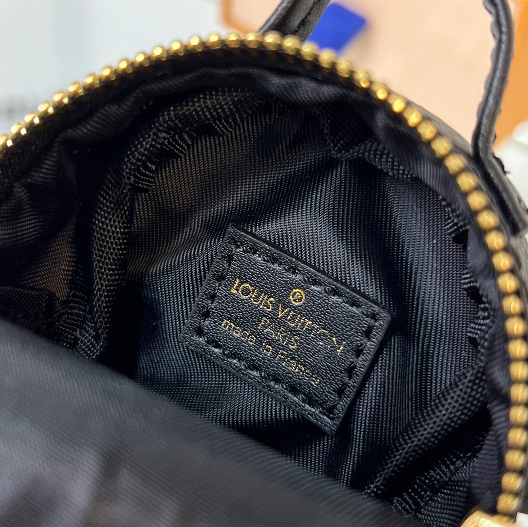 Louis Vuitton Palm Springs Bag