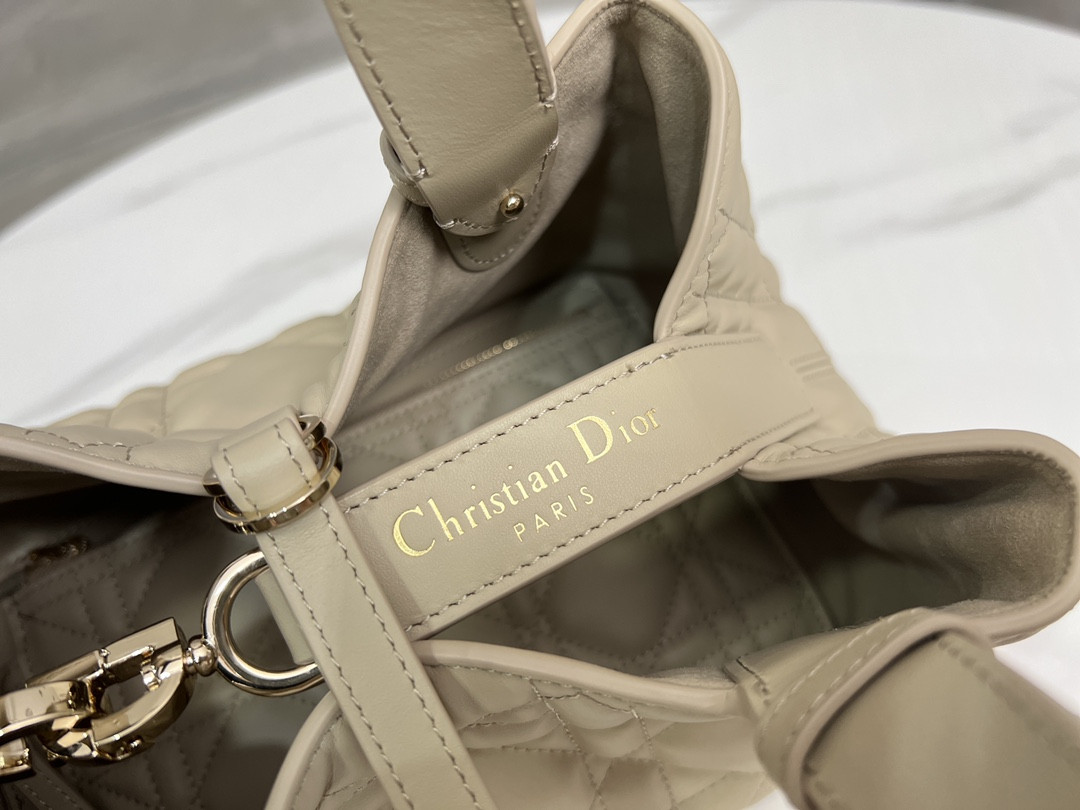 Dior Toujours Bag