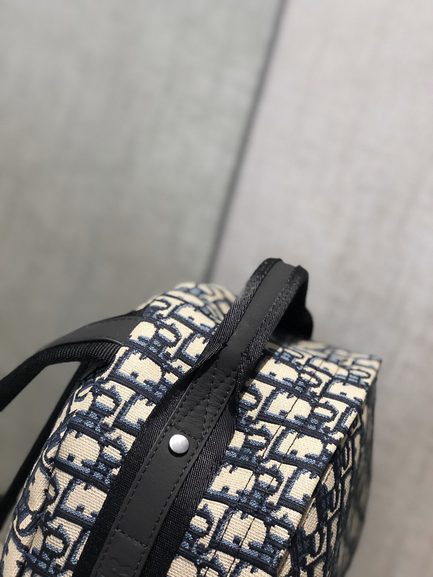 Dior Backpack