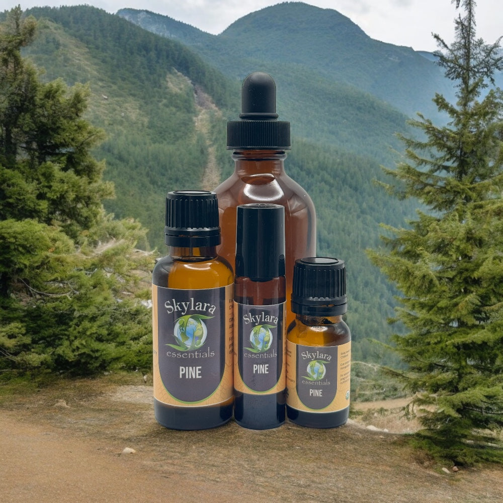 Pine Scots Essential Oil