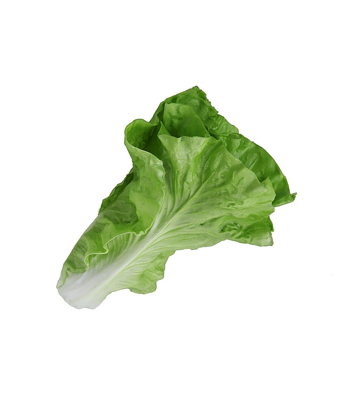 Flora Bunda 7 Artificial Real Touch Lettuce 2ct