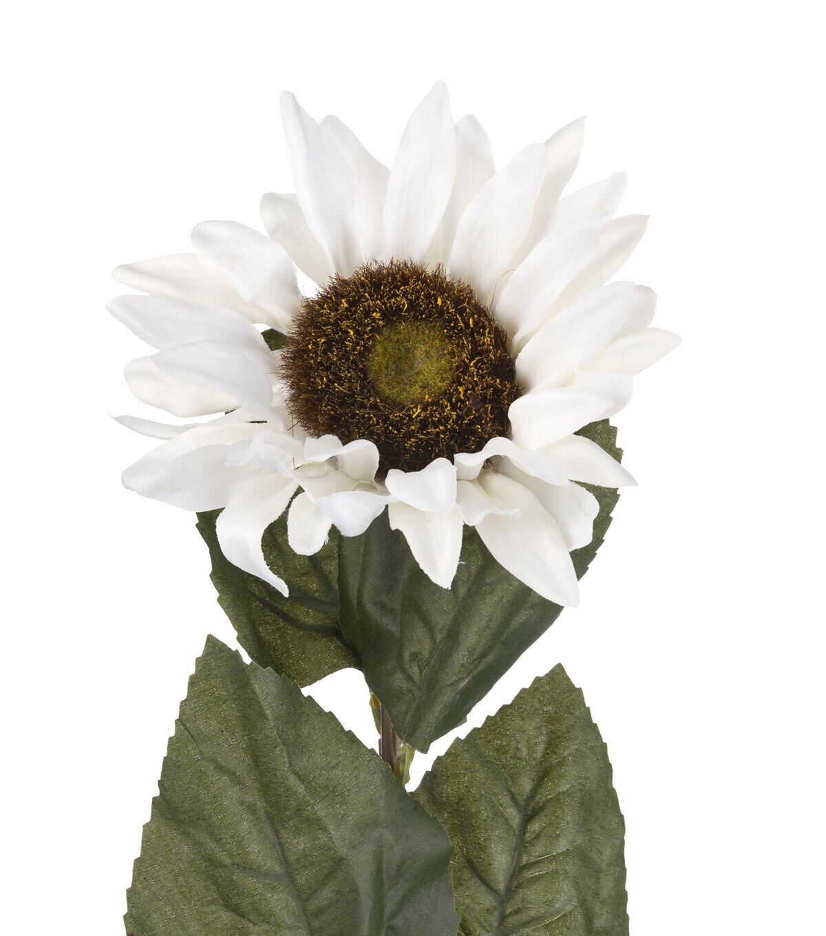 27 White Sunflower Stem by Bloom Room