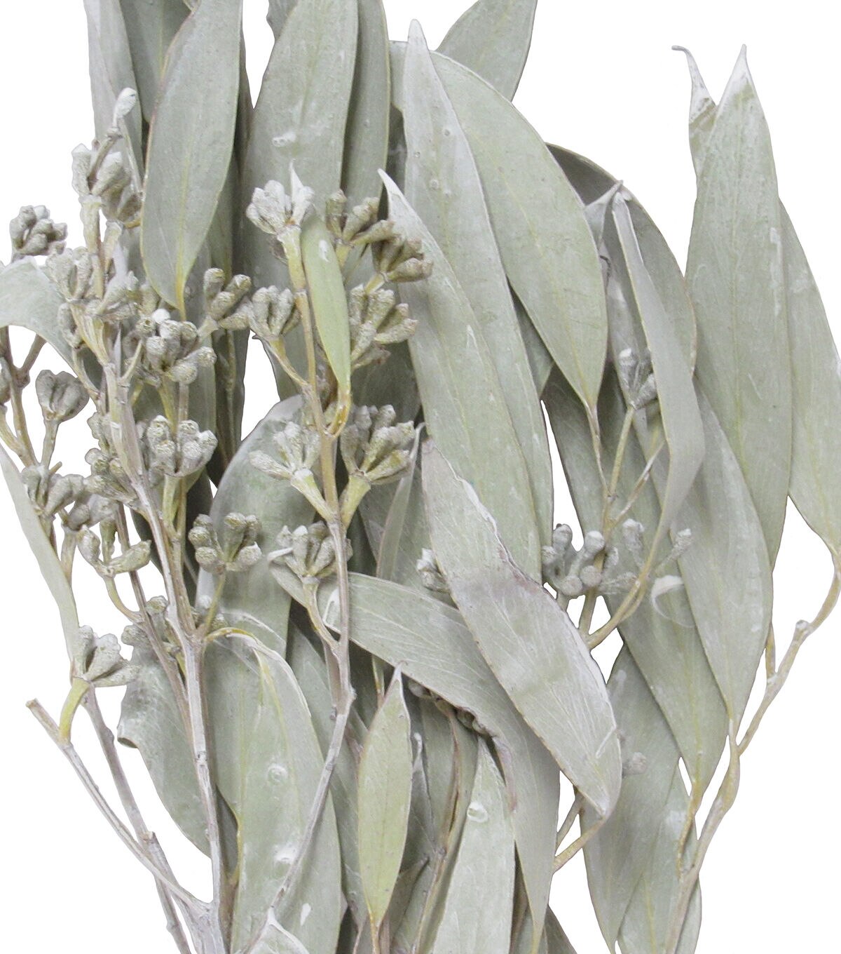 18 White Ashed Amber Fruit Dried Foliage Bouquet by Bloom Room