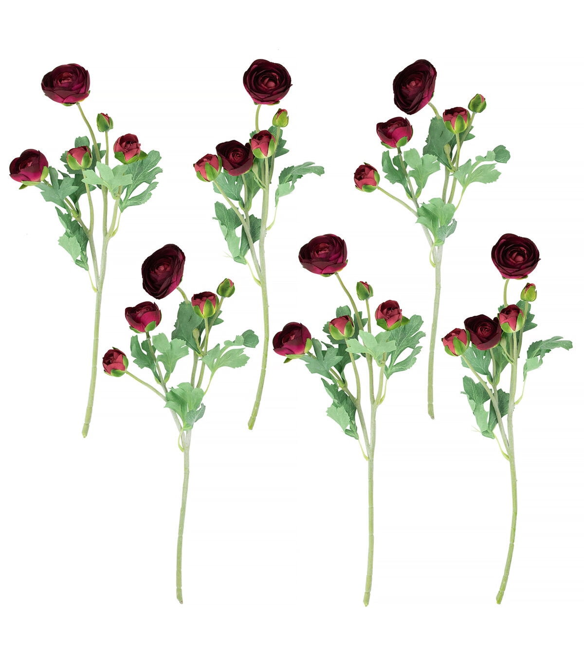 Northlight 21 Red Ranunculus Stems 6ct