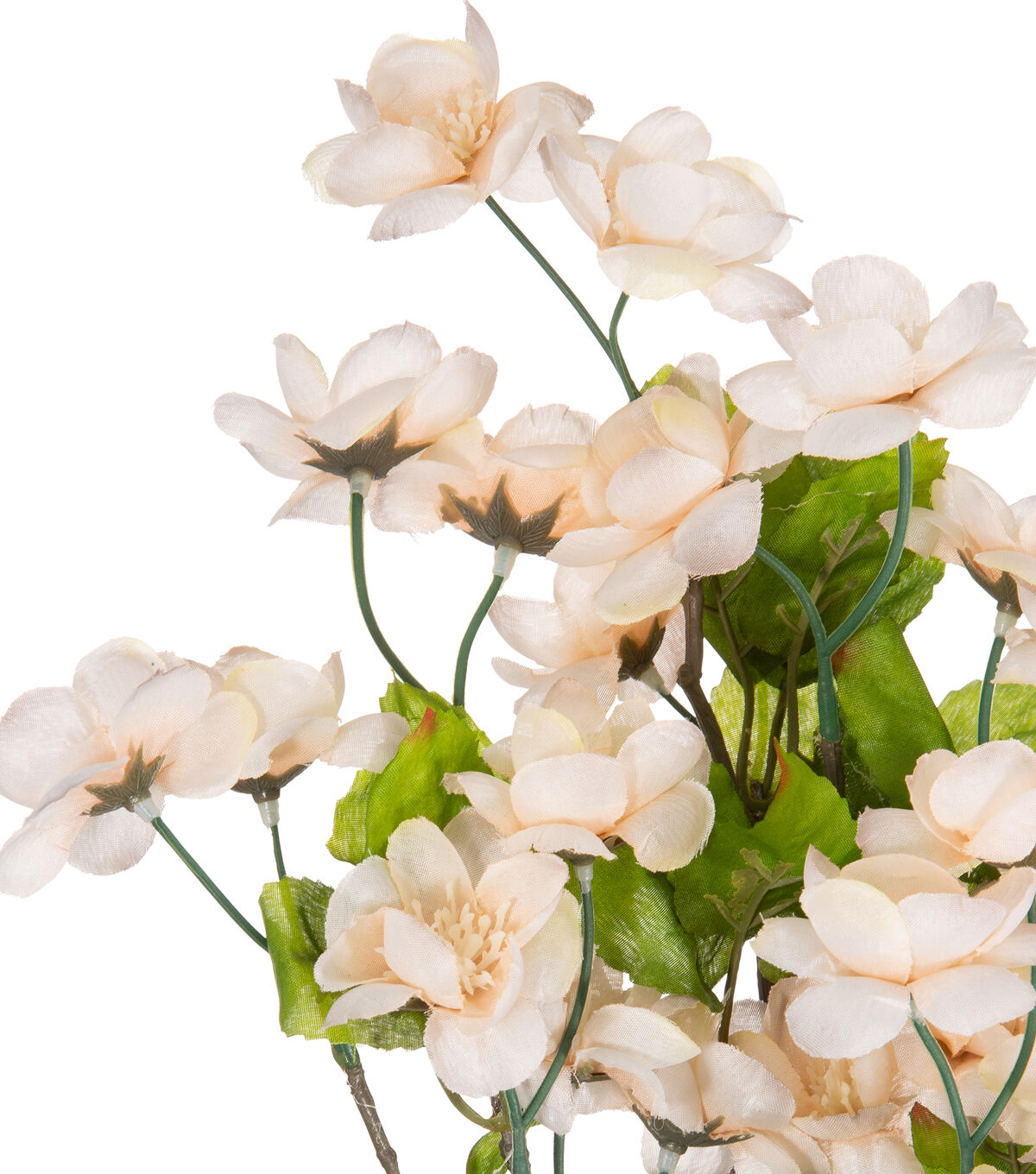 23 Cream Blossom Bush by Bloom Room